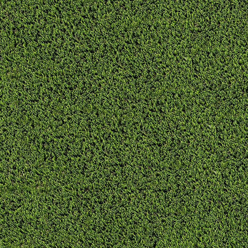 EMERALD GREEN TURF 110 - nmzgtwyooefu8bprsohk_800x500@2x.jpg