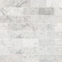 Carrara White Subway Tile 3x6 - ogpnxfu5proybirpzqwm_x500.jpg