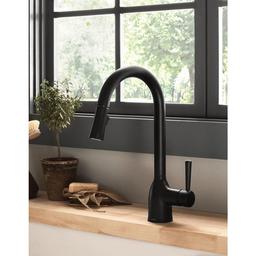 Adler Single-Handle Pull-Down Sprayer Kitchen Faucet with Reflex and Power Clean in Matte Black - ommptbbzq17k585uvs4z_x500.jpg