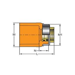 FlameGuard® TorqueSafe™ Adapter, 3/4 x 1/2 in, Socket x Brass FNPT, CPVC - onj6baj3t6uwwnucpnnx_x500.jpg