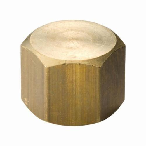 Cap, 1/4 in, FNPT, Lead Free Brass, Rough Brass, Domestic - onkmzdvjr3u3sjewft6b_x500.jpg