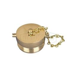 Fire Hose Plug, 2-1/2 in, Brass - otiwsn5p5ruxgqs4l52l_800x500@2x.jpg