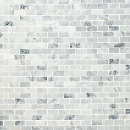 Carrara Classique Brick 1x2 Honed - ox7ssmmrkpinb2ulr45s_x500.jpg