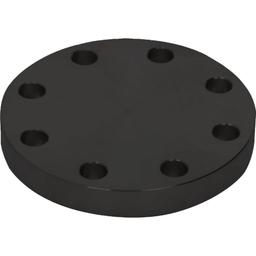 Raised Face Blind Flange, 5 in, 10 in OD, 8 Bolt Holes, 150 lb, Carbon Steel, Buy American - p9ffengdelwt0fypprl5_800x500@2x.jpg