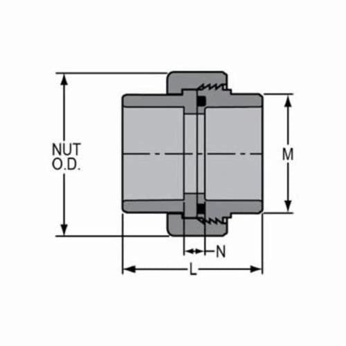 Union, 1 in, Socket, SCH 80/XH, CPVC - paznmhx6kl2aszuuwpgf_x500.jpg