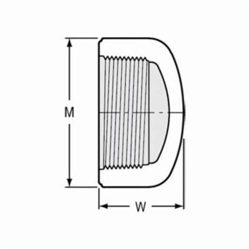 Cap, 5 in, FNPT, SCH 40/STD, PVC - pdnavm2zvlkpvdqqk8eg_x500.jpg