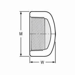 Cap, 5 in, FNPT, SCH 40/STD, PVC - pdnavm2zvlkpvdqqk8eg_x500.jpg