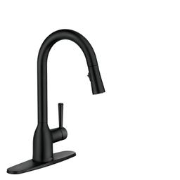 Adler Single-Handle Pull-Down Sprayer Kitchen Faucet with Reflex and Power Clean in Matte Black - pfxtg7fxrvgoiqaciuio_800x500@2x.jpg