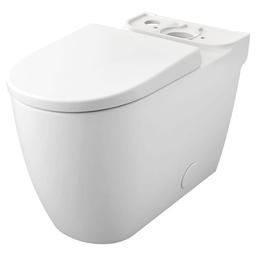 Essence Toilet Bowl, Floor Mount, 12 in Rough, ADA, Elongated, Alpine White - pixdqo0txp84rm9ejeim_x500.jpg