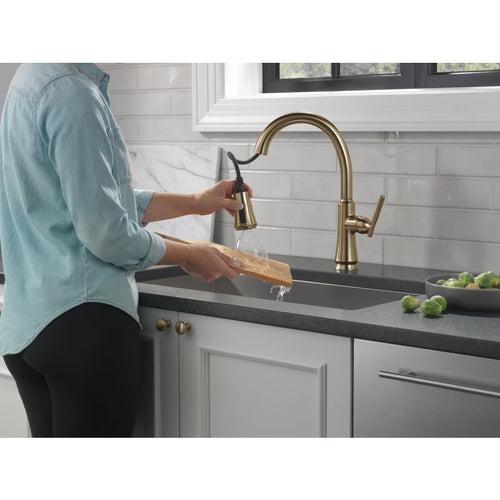 Coranto 1.8 GPM Single Hole Pull Down Kitchen Faucet with Magnetic Docking Spray Head and ShieldSpray - po3vcgolzmmmr7ctdmls_x500.jpg