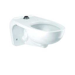 SloanTec Toilet Bowl, Wall Mount, ADA, Elongated, Flushometer, White - ppjhe60cibnpgkox1tx6_800x500@2x.jpg