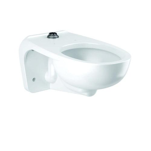 SloanTec Toilet Bowl, Wall Mount, ADA, Elongated, Flushometer, White - ppjhe60cibnpgkox1tx6_x500.jpg