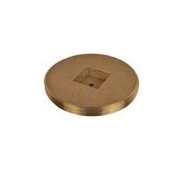 Countersunk Plug, 3-1/2 in, MNPT, Brass, Rough Brass - qpslvx1iz13poo7yqury_x500.jpg