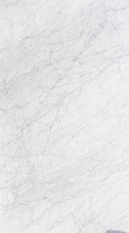 White Carrara Extra - qrd4kzfhv6enrya0100u_800x500@2x.jpg