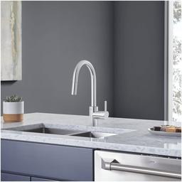 Concetto 1.75 GPM Single Hole Pull Down Kitchen Faucet - qrdvj9jauexdur0add2q_x500.jpg