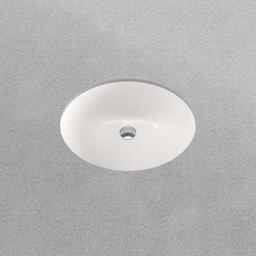 Comstock 17" Oval Vitreous China Undermount Bathroom Sink with Overflow - qtfsqj5rzkifhjfdfm9w_x500.jpg