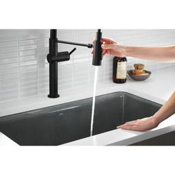 Crue 1.5 GPM Single Hole Pull Down Kitchen Faucet - Includes Escutcheon - qv5izzylfynemie5iefn_x500.jpg