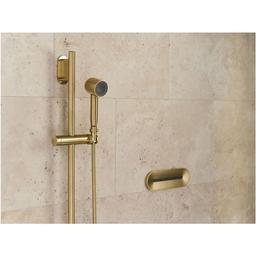 Statement 2.5 GPM Single Function Hand Shower with MasterClean Sprayface - qwsrcvl99k2acdyo15yg_x500.jpg