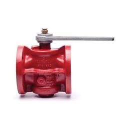 Plug Valve, 2 in, Flange, Cast Iron - r107iyhxdjlhmok1orq8_x500.jpg