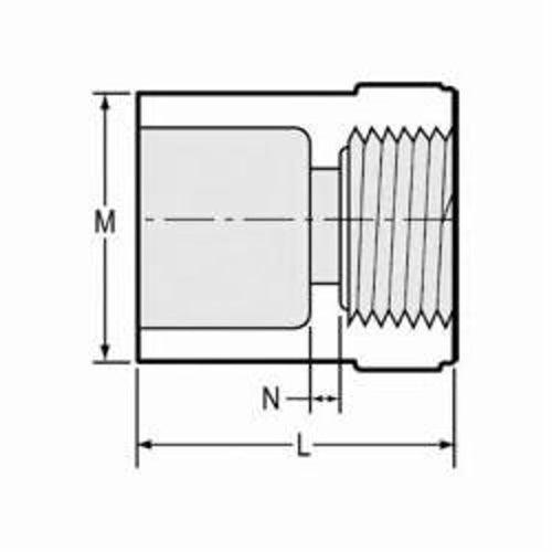 Female Adapter, 5 in, Socket x FNPT, SCH 40/STD, PVC - rdxzjnslpefvl0ev47hr_x500.jpg