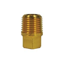 Plug, 1/8 in, MNPT, Lead Free Brass, Rough Brass - rhqzdhz0i9b3i2e2dtjm_x500.jpg