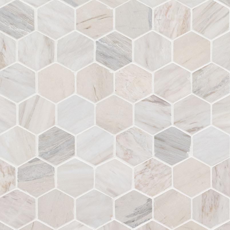 Angora Polished 2" Hexagon Mosaic Tile - rjm81fr31ftm3deotruv_800x500@2x.jpg