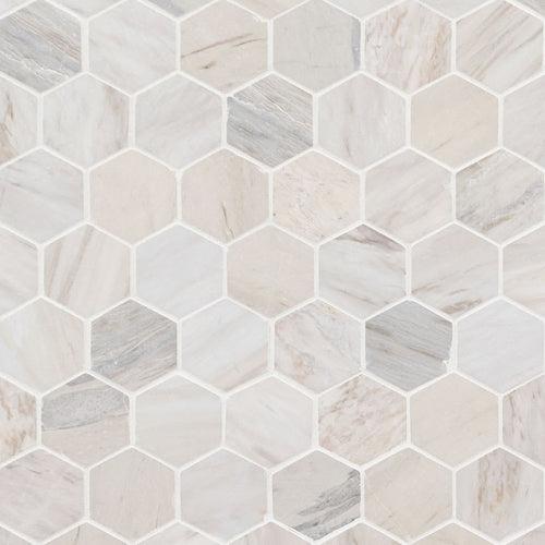 Angora Polished 2" Hexagon Mosaic Tile - rjm81fr31ftm3deotruv_x500.jpg