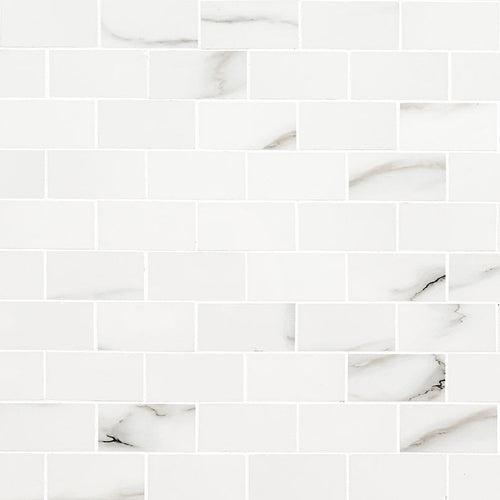 Aria Bianco Subway Tile 2X4 - rmgqqrfsae0scc30y0s5_x500.jpg