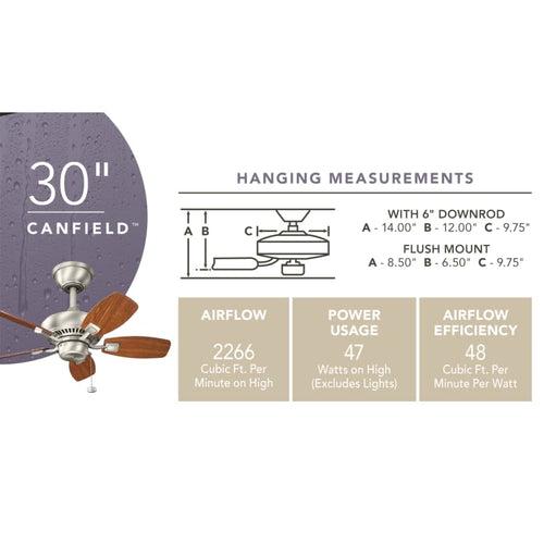 Canfield 30" Indoor / Outdoor Ceiling Fan - rrareiunuojbksy5mxoa_x500.jpg