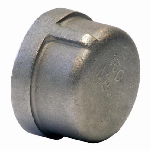 Cap, 1/8 in, FNPT, 304/304L Stainless Steel, 150 lb - rusxbr8mytlvsrmkkd80_x500.jpg