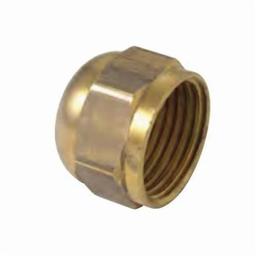 Cap, 1/4 in, Flare, Brass, Rough Brass, Domestic - siduf9wmxdyuze6ed0ey_800x500@2x.jpg