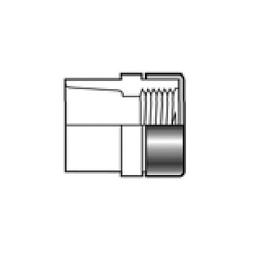 Female Adapter, 2 in, Socket x FNPT, SCH 40/STD, PVC - skndgqjojtdrld0u1ln0_x500.jpg