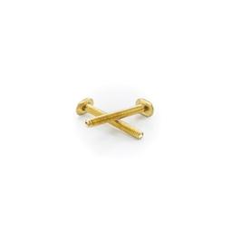 Closet Bolt, 1/4 x 2-1/4 in L Thread, Brass - sqlhkp9qdrxtxhwedxfd_800x500@2x.jpg