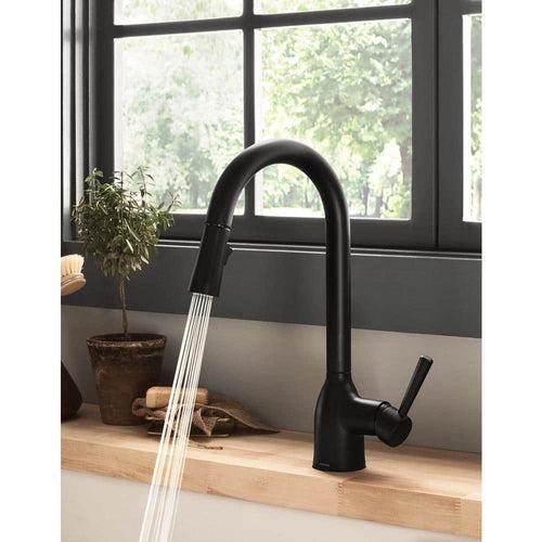 Adler Single-Handle Pull-Down Sprayer Kitchen Faucet with Reflex and Power Clean in Matte Black - ssxfc9cki0muaggtttgf_x500.jpg