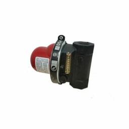 Vertical Top Earthquake Valve, 1 in, FNPT - sxuvplrna6l1wrgxsgey_800x500@2x.jpg