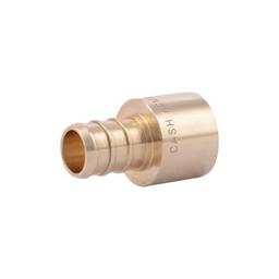 Adapter, 1/2 in, Crimp PEX x C, Brass - t9qzvl4djjl8iuxf5gxt_800x500@2x.jpg