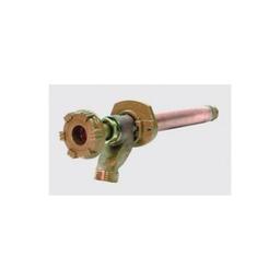 Hose Bibb, 1/2 in Inlet, MNPT or C, Rough Brass - tcfejsdbmm2kk0ekllmb_800x500@2x.jpg