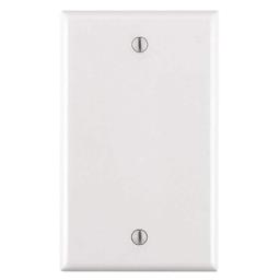 1-Gang Blank Wall Plate, White - tqvgreyuztldvboswiiw_800x500@2x.jpg