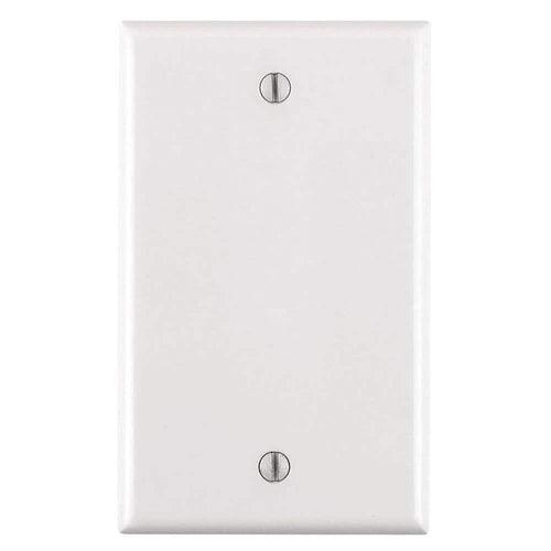 1-Gang Blank Wall Plate, White - tqvgreyuztldvboswiiw_x500.jpg