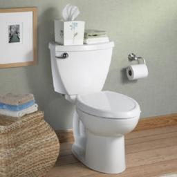 Cadet 3 Elongated Slow Close Toilet Seat with Cover and EverClean Surface - tweuqf4okmshqu1yz5ir_x500.jpg