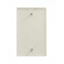 1-Gang Blank Wall Plate, White - u4mympwkyj4t4ddj16gh_x500.jpg