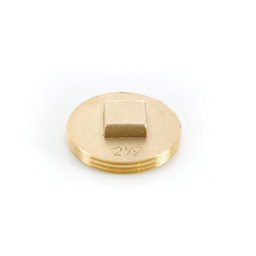 Raised Head Cleanout Plug, 2-1/2 in, Brass - ucn8wrz8drqtyon3rusr_x500.jpg