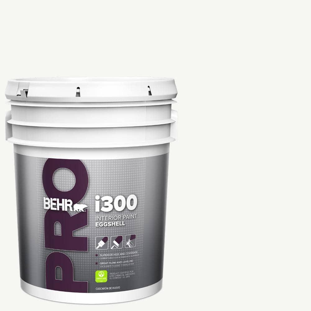 Behr Pro 5gal Antique White - i300 Eggshell - uddyfygbhqyidnzpws3w_800x500@2x.jpg