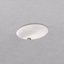 Comstock 19-1/2" Oval Vitreous China Undermount Bathroom Sink with Overflow - unk4qbhnuar00ovvdtm7_x500.jpg