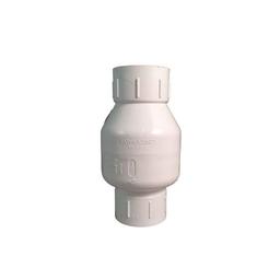 Spring Check Valve, 2 in, FNPT, PVC - uqzxwy1w2d63h7qrm2mv_x500.jpg