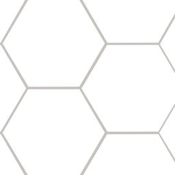 Hexley Ecru Hexagon Tile - uto9cdfvuzj6nda0yhzk_800x500@2x.jpg