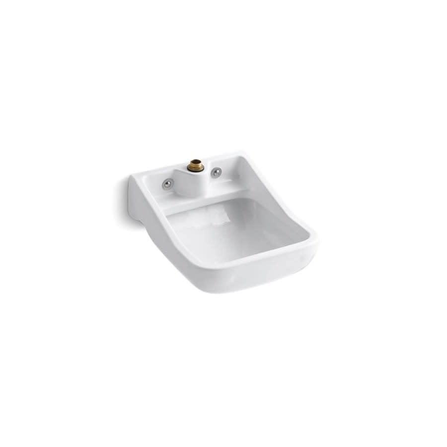 Camerton™ Service Sink, 1 Basin, Wall Mount, 1-Hole, Vitreous China, White - uvdbloxqfalqxhr2ip4p_800x500@2x.jpg