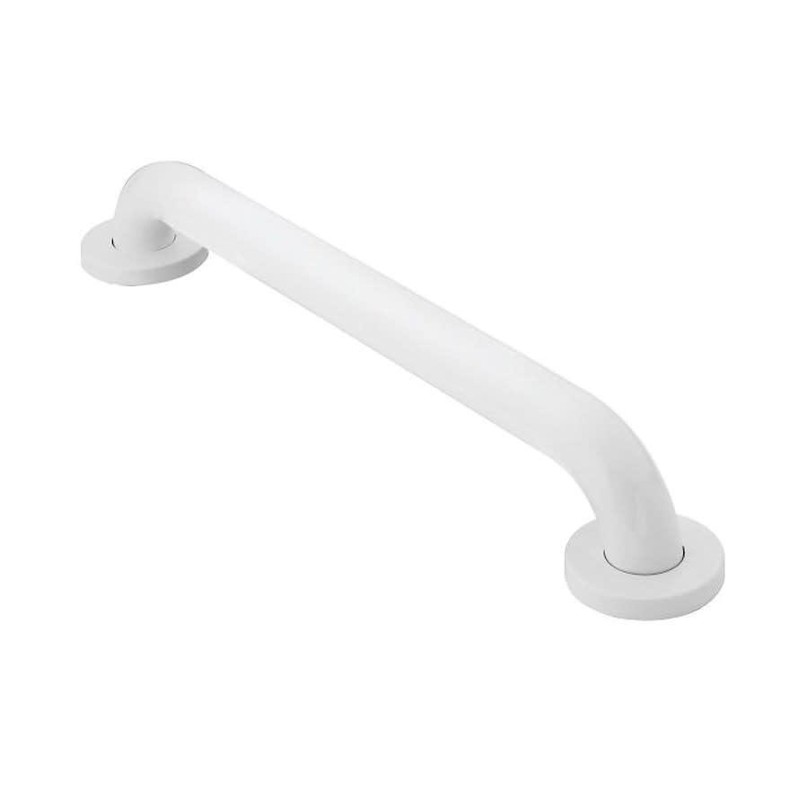 Home Care® Grab Bar, ADA, 24 in L, Glacier - uveed5ptplkgk9yzaulx_800x500@2x.jpg