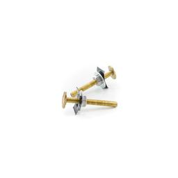 Closet Bolt Set, 1/4 x 2-1/4 in L Thread, Brass - v2jaflpau1fdrfgdymhx_800x500@2x.jpg