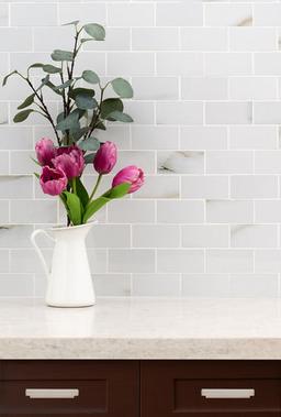 Aria Bianco Subway Tile 2X4 - v9ugcgoymm2yp2fhx99q_x500.jpg